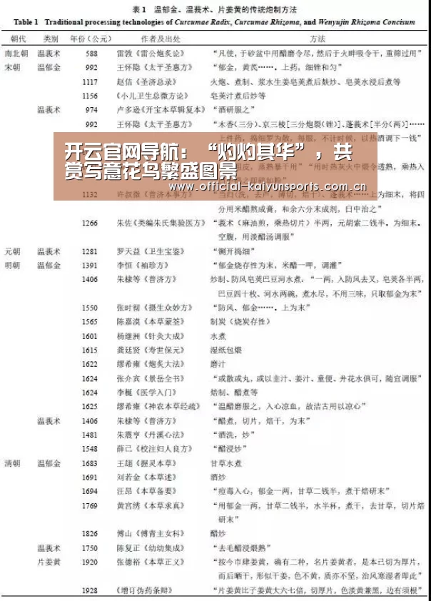开云比分