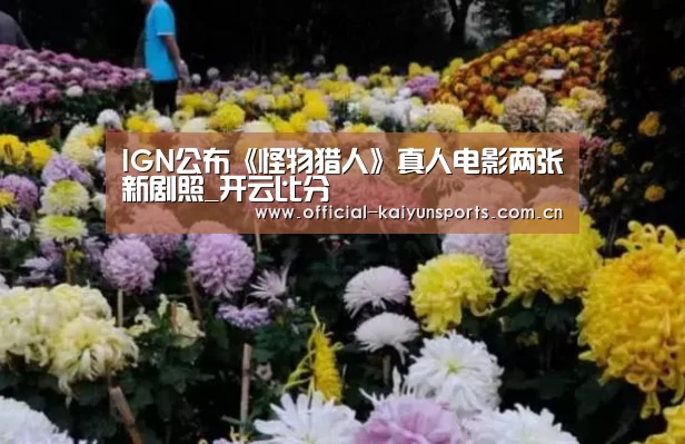 IGN公布《怪物猎人》真人电影两张新剧照_开云比分